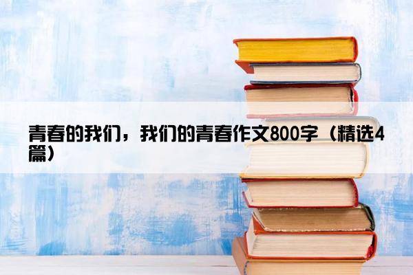 青春的我们，我们的青春作文800字（精选4篇）