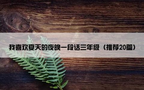 我喜欢夏天的夜晚一段话三年级（推荐20篇）