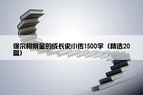 保尔柯察金的成长史小传1500字（精选20篇）