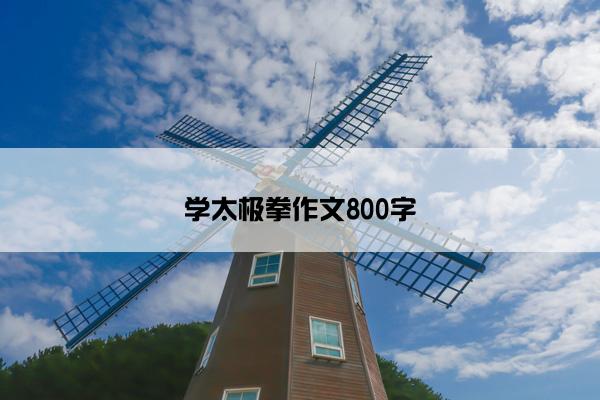 学太极拳作文800字