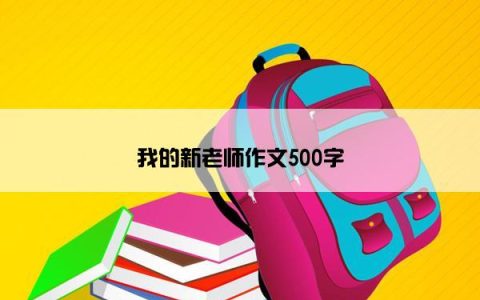 我的新老师作文500字