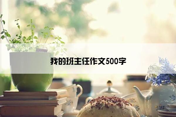 我的班主任作文500字