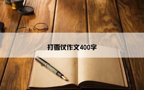 打雪仗作文400字