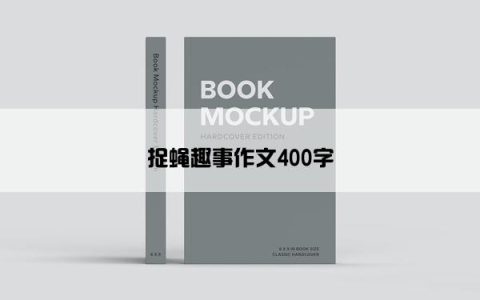 捉蝇趣事作文400字