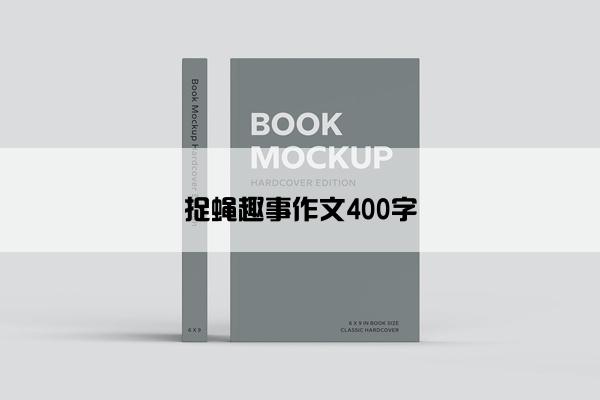 捉蝇趣事作文400字