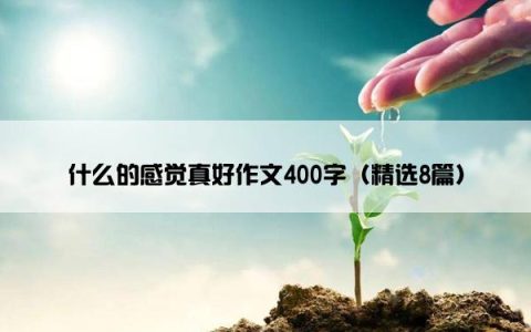 什么的感觉真好作文400字（精选8篇）