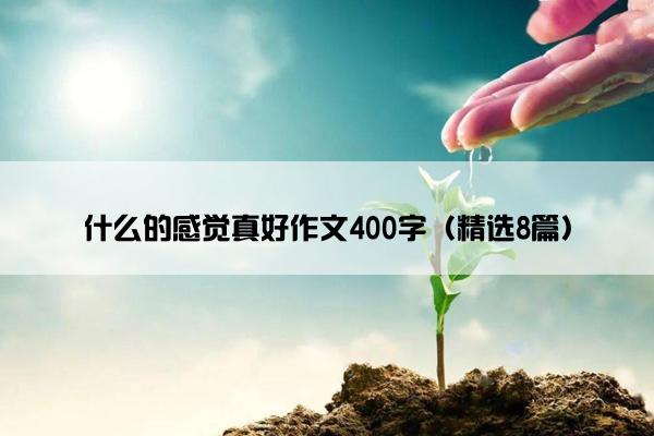 什么的感觉真好作文400字（精选8篇）