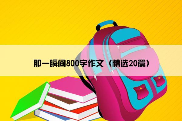 那一瞬间800字作文（精选20篇）