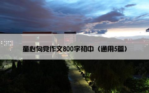 童心向党作文800字初中（通用5篇）