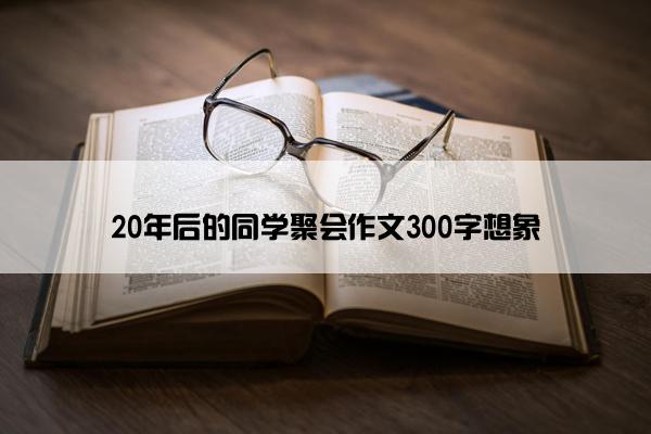 20年后的同学聚会作文300字想象