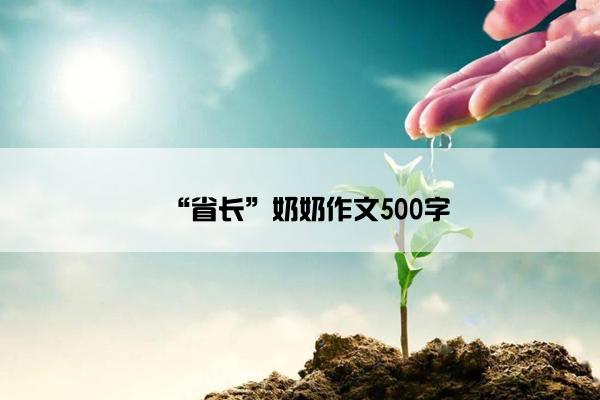 “省长”奶奶作文500字