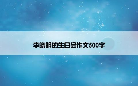 李晓明的生日会作文500字