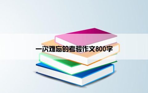 一次难忘的考验作文800字