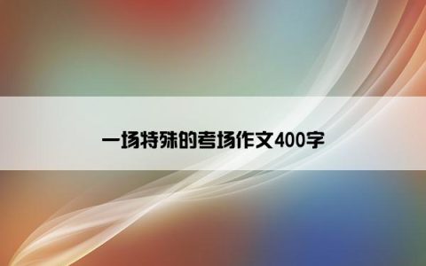 一场特殊的考场作文400字