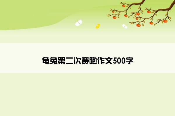 龟兔第二次赛跑作文500字