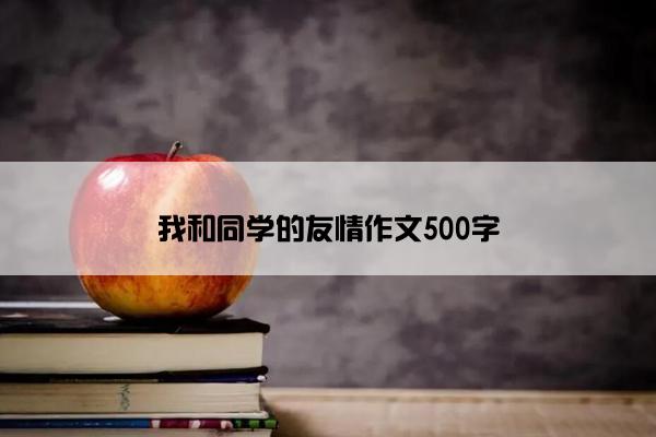 我和同学的友情作文500字