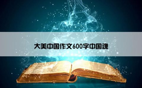 大美中国作文600字中国魂