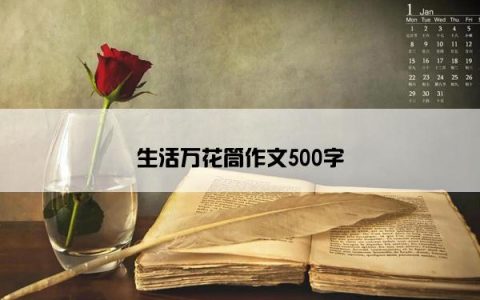 生活万花筒作文500字