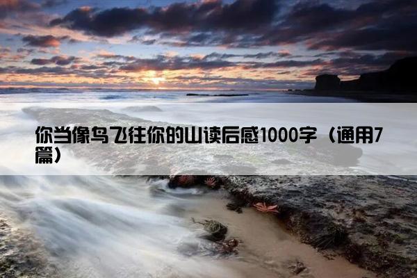 你当像鸟飞往你的山读后感1000字（通用7篇）