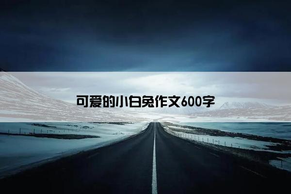 可爱的小白兔作文600字