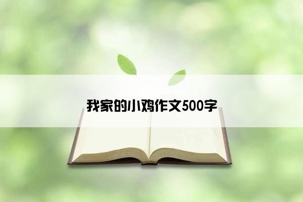 我家的小鸡作文500字