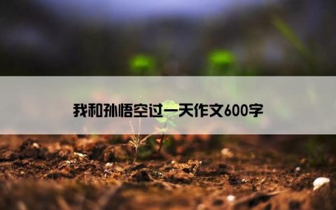 我和孙悟空过一天作文600字