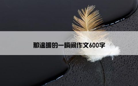 那温暖的一瞬间作文600字