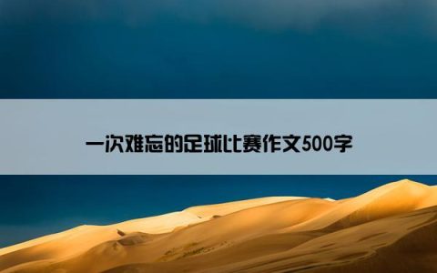一次难忘的足球比赛作文500字