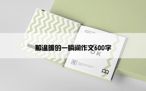 那温暖的一瞬间作文600字