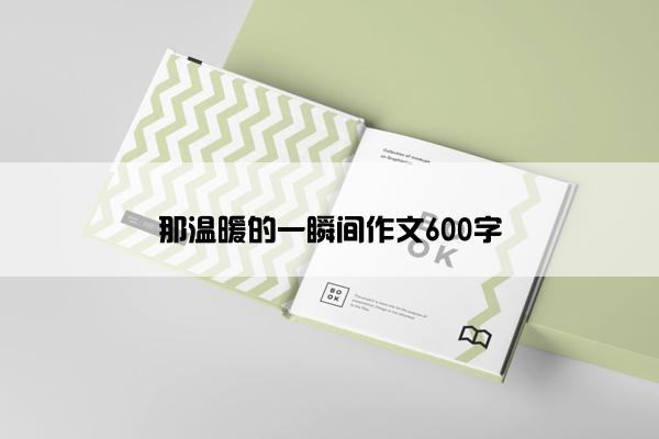 那温暖的一瞬间作文600字