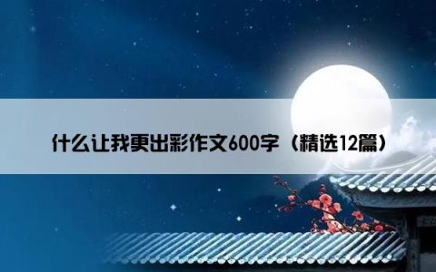 什么让我更出彩作文600字（精选12篇）