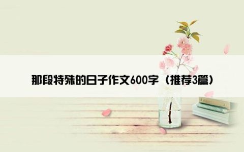 那段特殊的日子作文600字（推荐3篇）