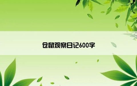 仓鼠观察日记600字