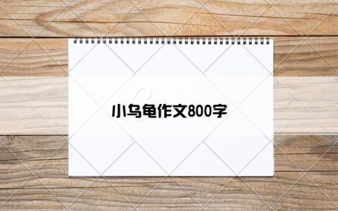 小乌龟作文800字