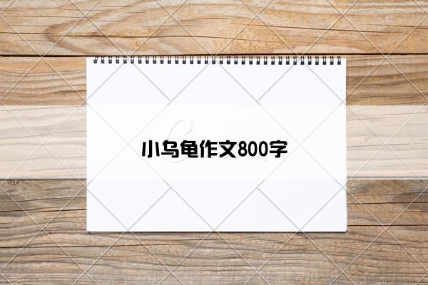 小乌龟作文800字