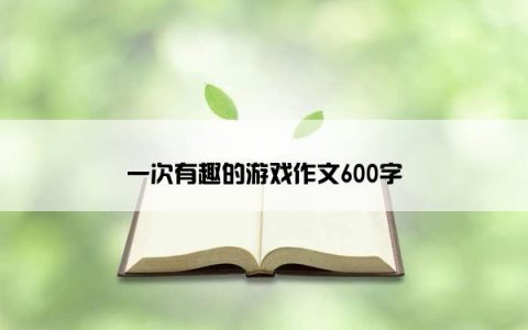 一次有趣的游戏作文600字