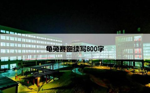 龟兔赛跑续写800字