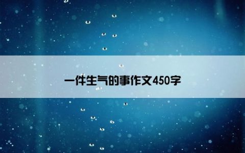 一件生气的事作文450字