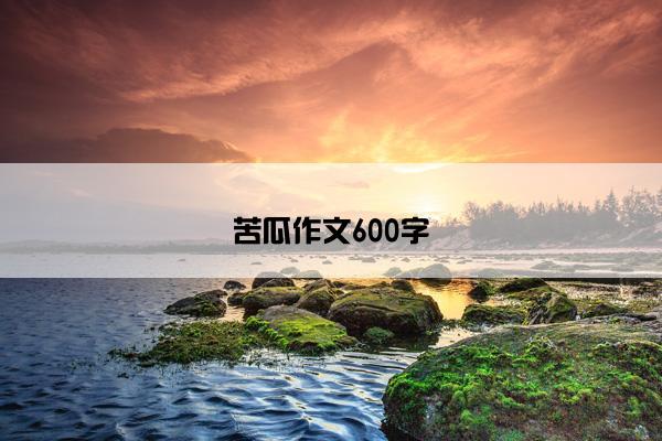 苦瓜作文600字