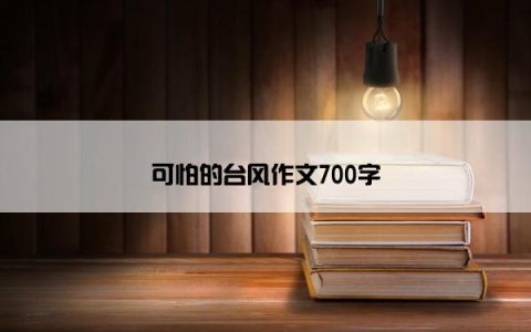 可怕的台风作文700字