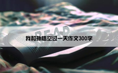 我和孙悟空过一天作文300字