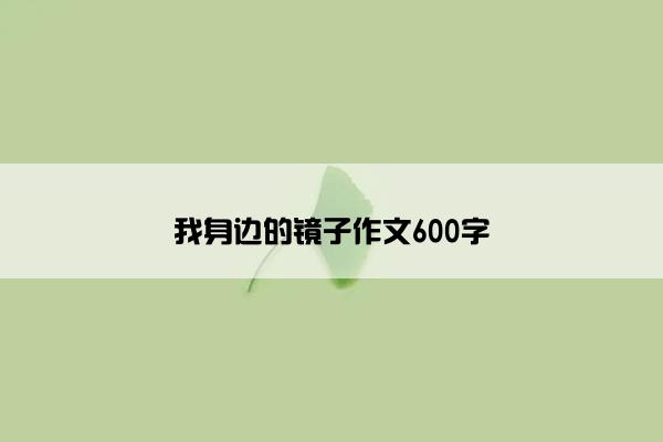 我身边的镜子作文600字