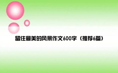 留住最美的风景作文600字（推荐6篇）
