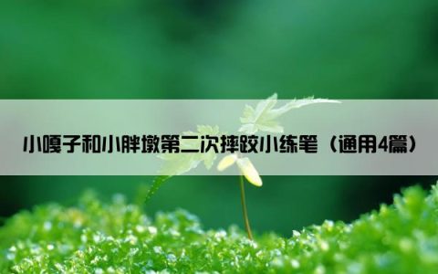 小嘎子和小胖墩第二次摔跤小练笔（通用4篇）