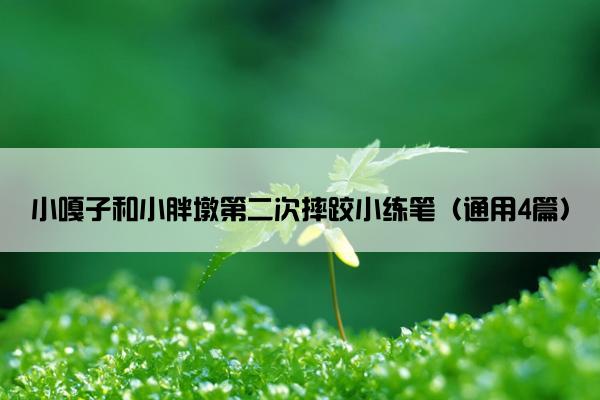 小嘎子和小胖墩第二次摔跤小练笔（通用4篇）