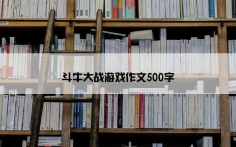 斗牛大战游戏作文500字