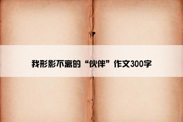 我形影不离的“伙伴”作文300字