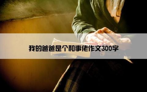 我的爸爸是个和事佬作文300字