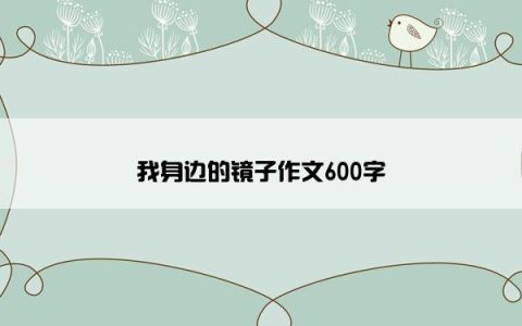 我身边的镜子作文600字