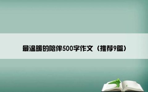 最温暖的陪伴500字作文（推荐9篇）